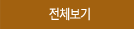 전체보기